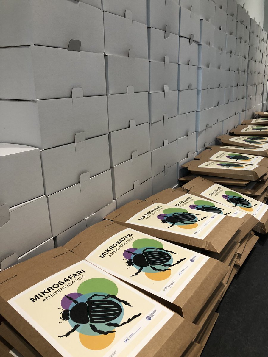 AlettaBonn's tweet image. Packing party - team effort getting ready for fieldwork! 🐜🐞🪲
Mikrosafari.de #CitizenScience #insect project with Julie @KochSheard @UFZ_de @idiv and schools &amp;amp; families in #Leipzig , #Halle und #Berlin