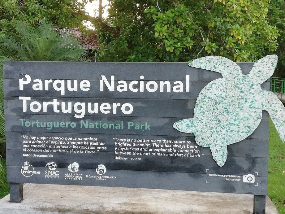 SabrinaenPeru's tweet photo. El Parque Nacional Tortuguero  🐢se ubica en Costa Rica 🇨🇷  y es uno de los principales iconos turísticos del país debido a que se reconoce internacionalmente por proteger la playa de anidación de tortugas verdes más importante del hemisferio occidental.
#DescubreElMundoConAVGE https://t.co/GC49C1wwCu