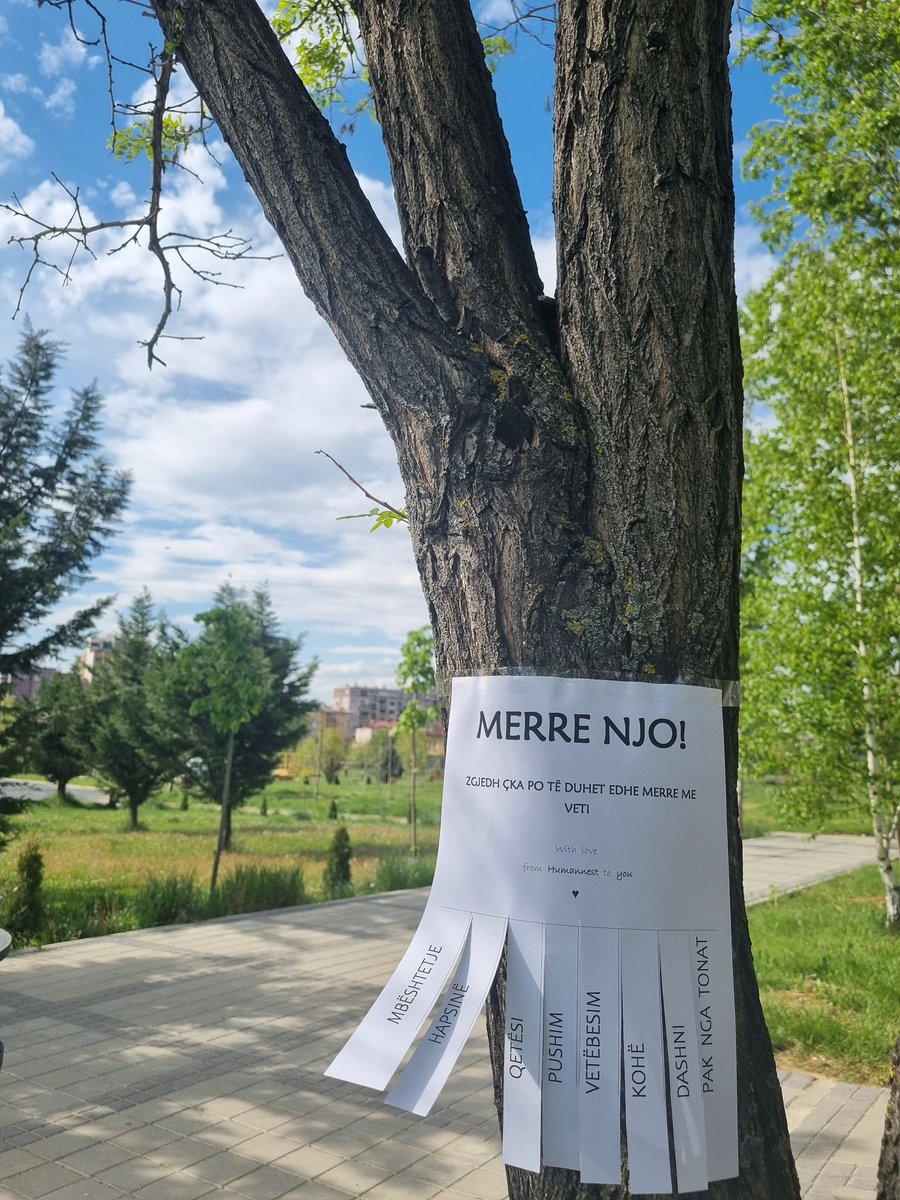 Fole me gjuhë t’dashnisë nëpër Prishtinë!

With love, from Humannest to you🤍

#takewhatyouneed