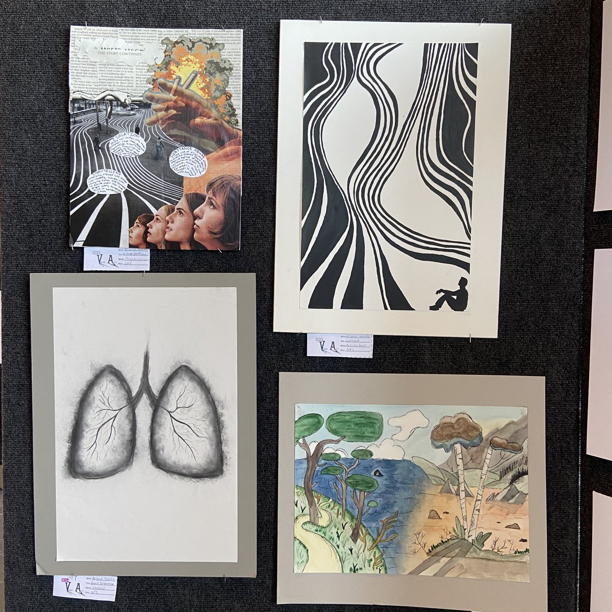 Carmel Unified School District tweet media