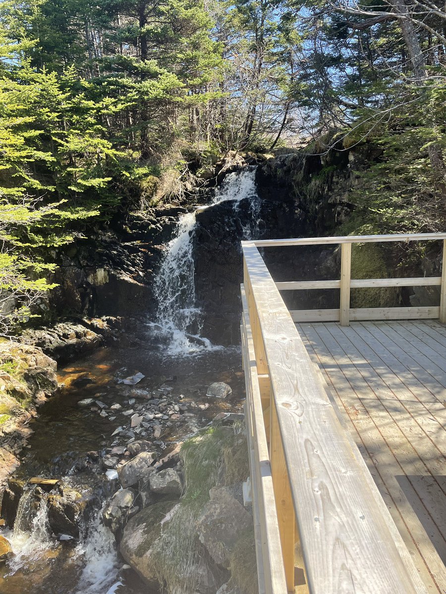 mrshicks9's tweet photo. Afternoon Nature Walk!🌲 🌊 🧚🥾 @dunneacademy https://t.co/s5SZu50zSG