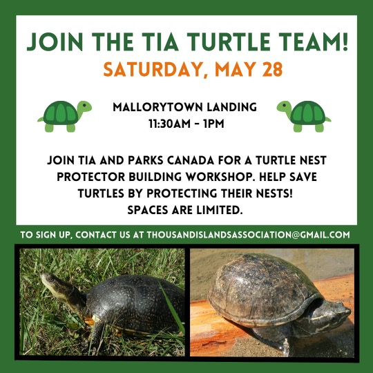 Thousand Islands Association (TIA) tweet media