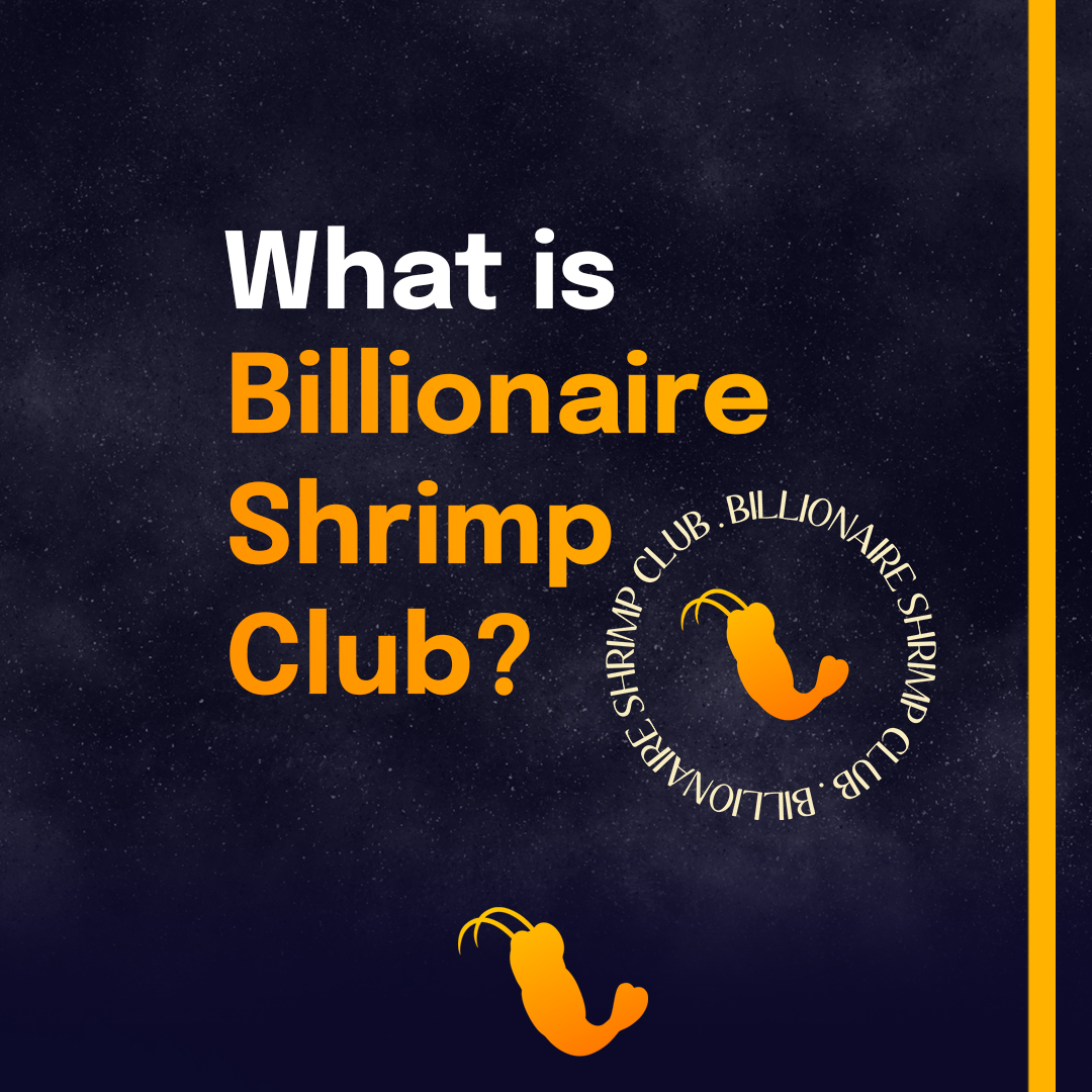 Billionaire Shrimp Club | Get your WL Spot Now tweet media