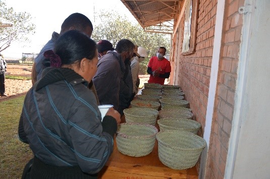 FFP_AgriCord's tweet image. Aujourd'hui, nous jetons un coup d'œil à une formation sur les sols organisée à Madagascar dans le cadre du projet #FO4ACP: le développement des organisations par les filières. 

Un œil critique, une touche d'approfondissement - de vrais professionnels au travail.🤎
#ceffel #fert