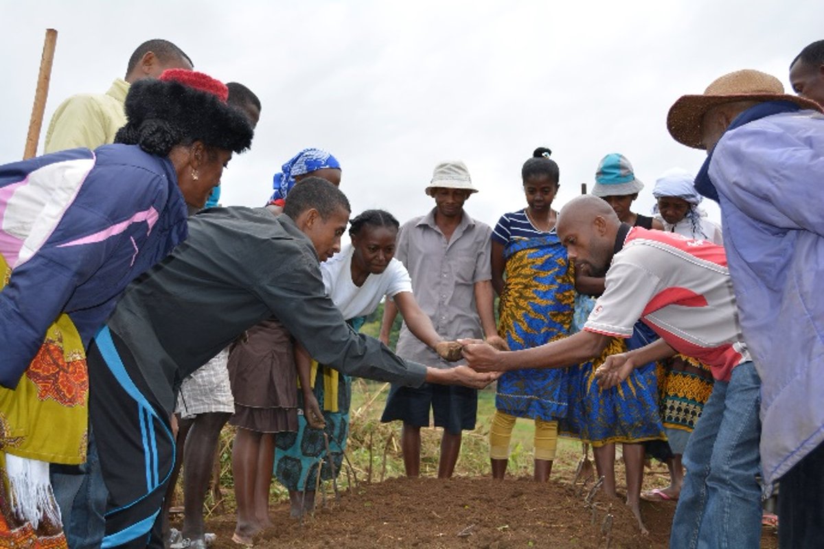 FFP_AgriCord's tweet image. Aujourd'hui, nous jetons un coup d'œil à une formation sur les sols organisée à Madagascar dans le cadre du projet #FO4ACP: le développement des organisations par les filières. 

Un œil critique, une touche d'approfondissement - de vrais professionnels au travail.🤎
#ceffel #fert