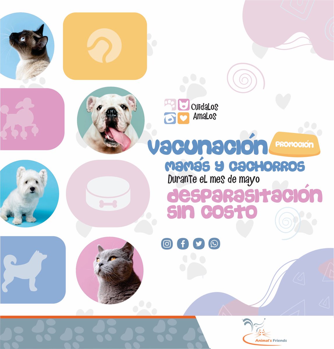 animalsfriends_'s tweet photo. No dejes pasar está promoción y agenda tu cita. Y recuerda tus mascotas son parte de tu familia, #CuídalosAmalos #pupies #michis #perrhijos #dogs https://t.co/j14LmnIZeu