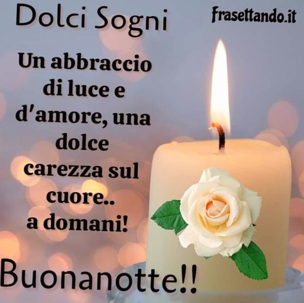 Meri☀️🌸🥀🪺🐾🌈 tweet media