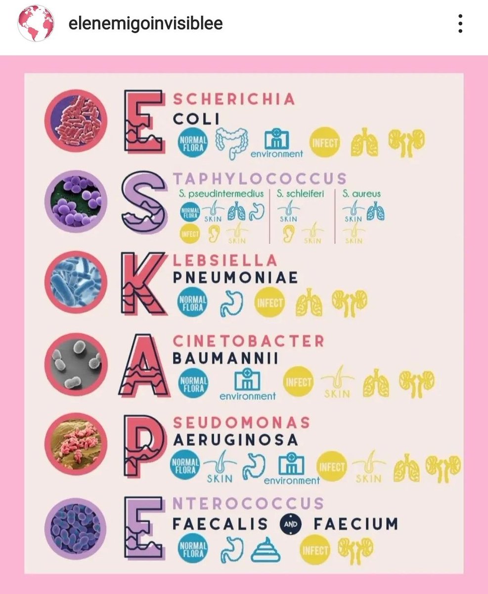 Belenbiomola's tweet image. Pensé que esta foto era el final del campus y del proyecto...pero NO esto no ha hecho más que empezar. Vienen con más ganas que nunca a seguir en sus  proyectos. 
Las #becritical8h lanzan nuevo reto
#Neurochallenge2 y #elenemigoinvisiblee con novedades
Vaya lío @Educaixa🤣