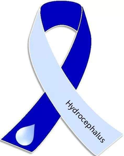 drb1974's tweet photo. @UberFacts I designed an awareness ribbon for #Hydrocephalus. It's now used all over the world. https://t.co/m9xsCwIioR