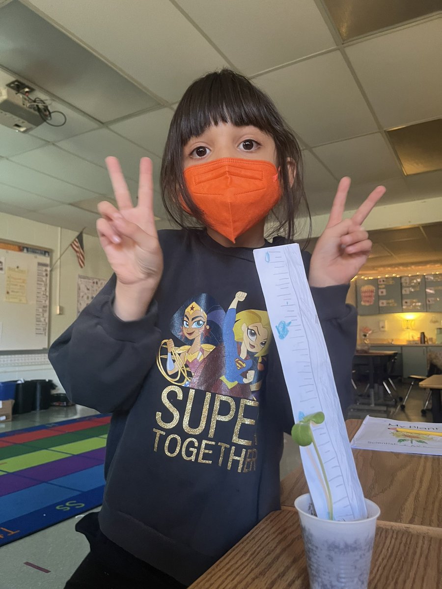 CPESGrade1's tweet photo. Our sunflowers are growing so tall! This student decided to make her own measurement tool and marked growth milestones with blue balloons. Today she was excited to announce is it her plant’s birthday! 🎈 #cpesbelieves https://t.co/Etg6x1S5Wt