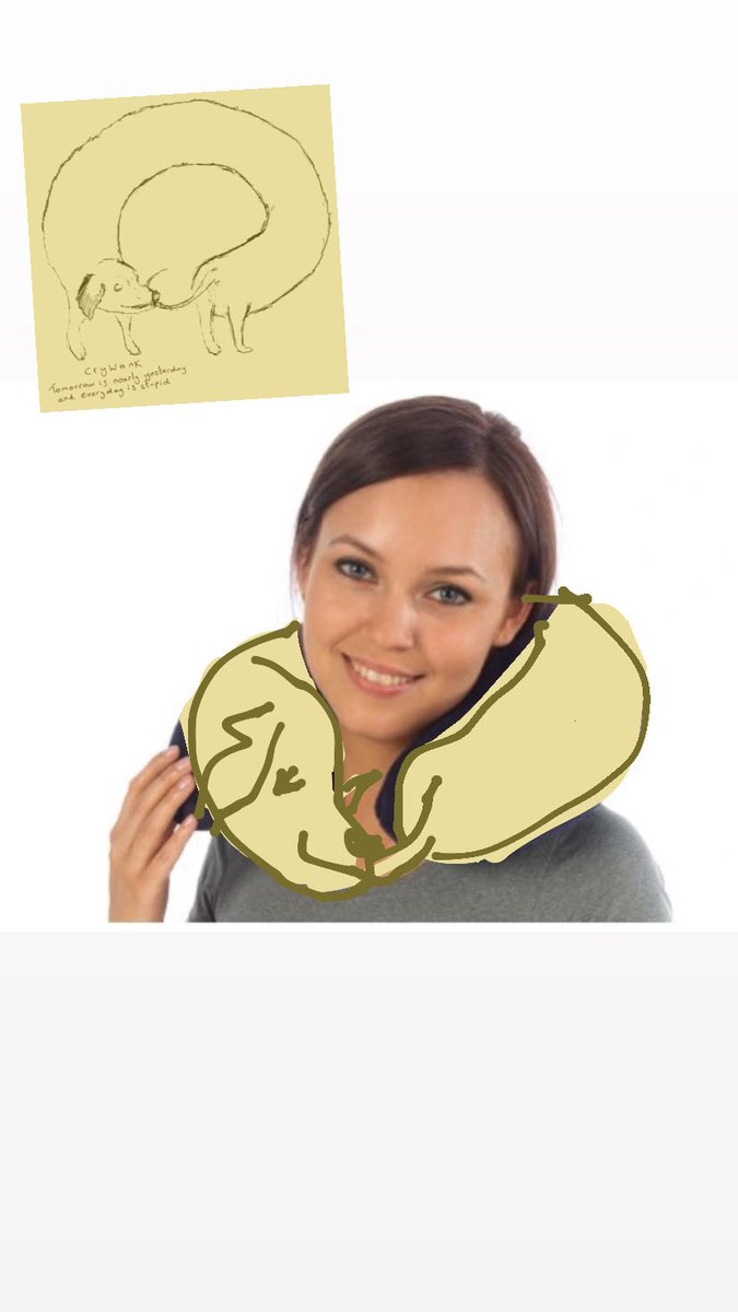 rat420rat's tweet photo. crywank dog pillow/plushie will become real one day i will make sure of it https://t.co/XeMuarn5Hn