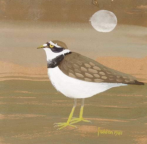 WomensArtForAll's tweet photo. Ringed plover, 1981 #fedden #maryfedden https://t.co/w8bGhOg3YL