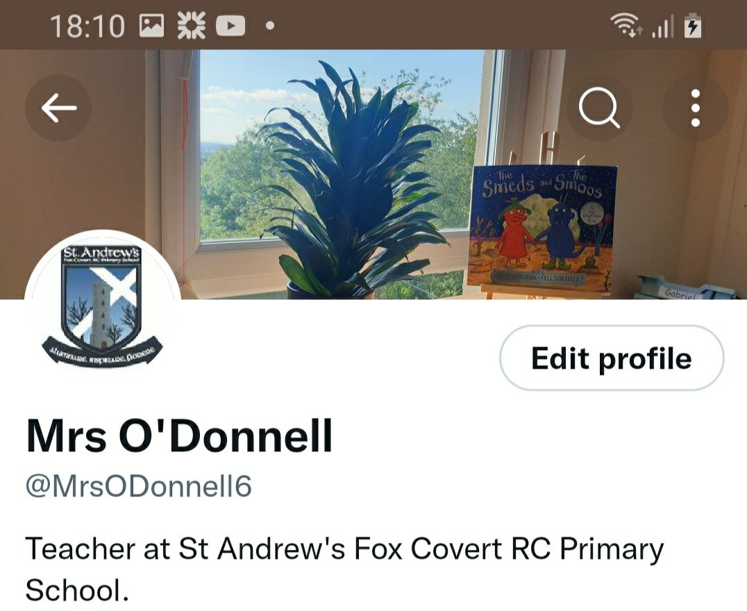 Dawn O'Donnell 💧 tweet media