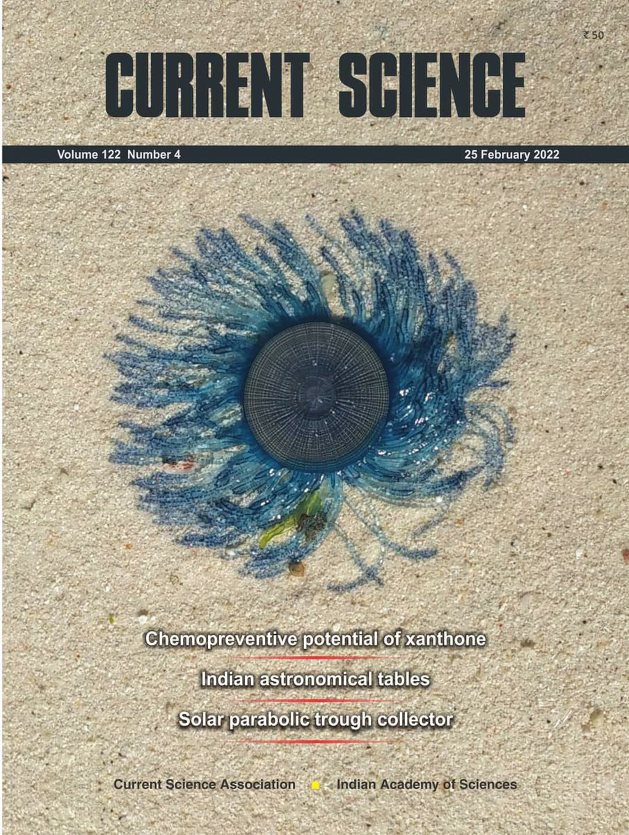 ZoologicalI's tweet image. SST and wind pattern mediated cast ashore of Porpita porpita (Linnaeus, 1758) assessed through satellite imagery at Lakshadweep Archipelago #bluebutton #hydrozoan #biologicalindicator #indicatorspecies #seasurfacetemperature #copepods 
currentscience.ac.in/Volumes/122/04…
@moefcc @DhritiZSI