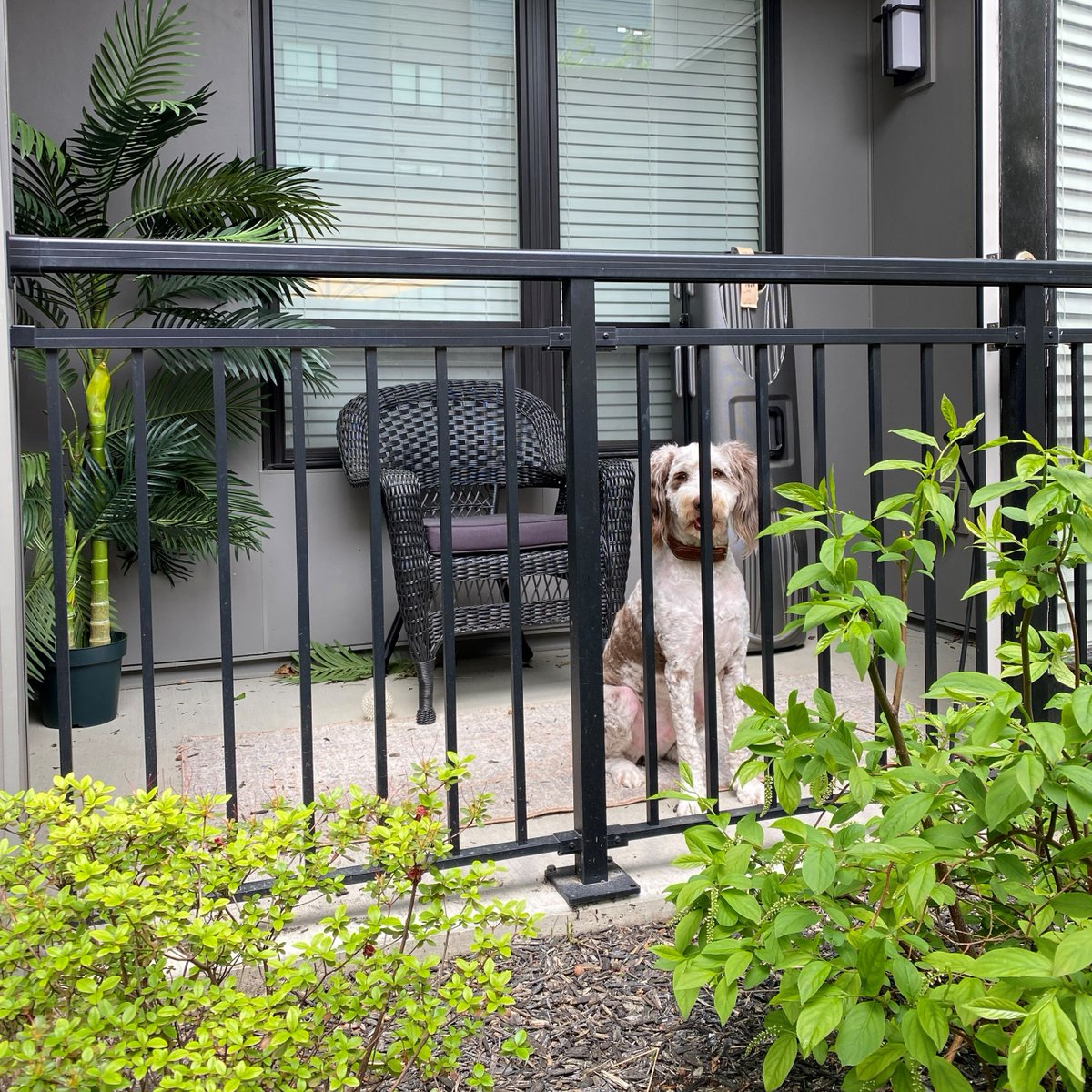 ChromaSTL tweet media