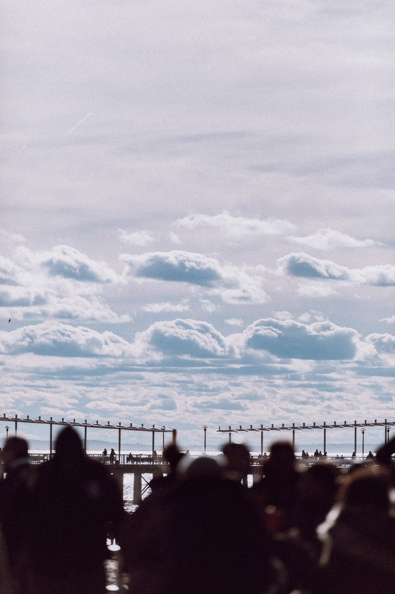 ᴊɪᴠᴇ tweet media