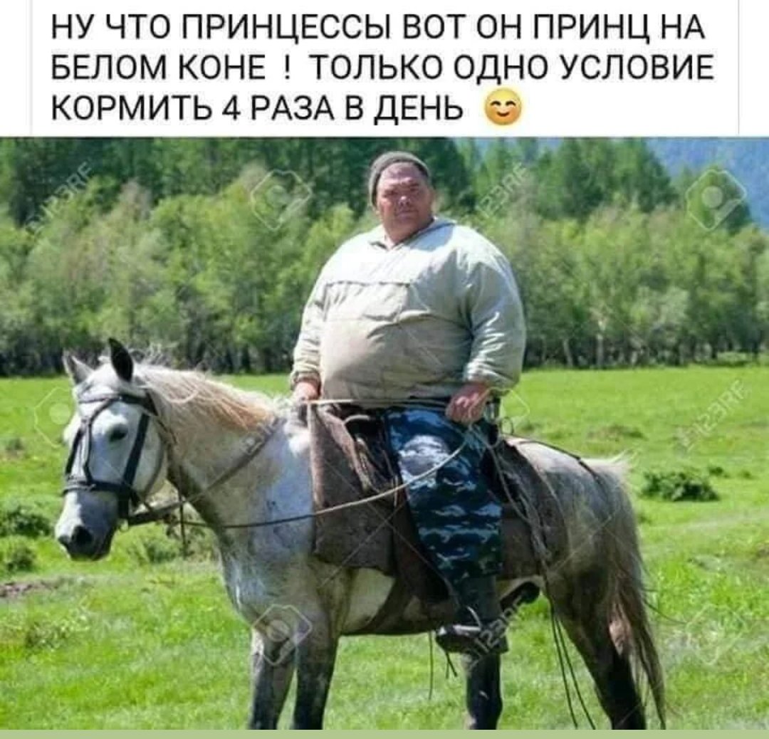 Толстые на коне