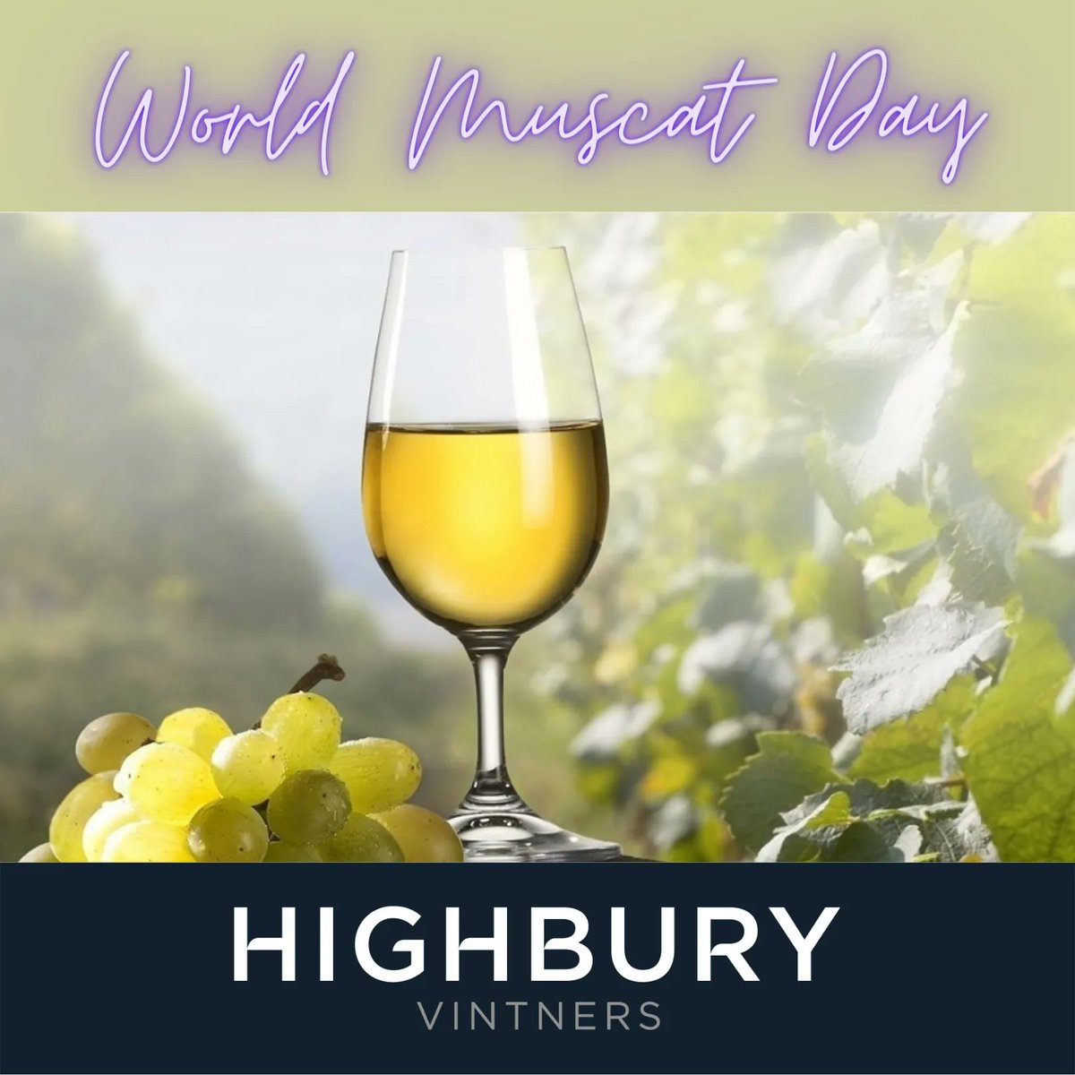 Highbury Vintners celebrates World Muscat Day at this week's #FreeFridayTasting!
Drop into the shop on 13 May 5pm-7.30pm to explore this ancient, yet often unknown grape! But don't worry, if it's not your thing we shall be opening some exciting red wines as well! #Muscat #Moscato