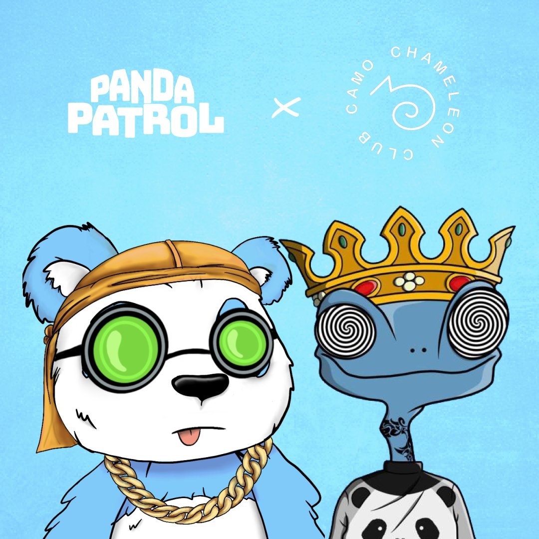 Panda Patrol🎋 tweet media