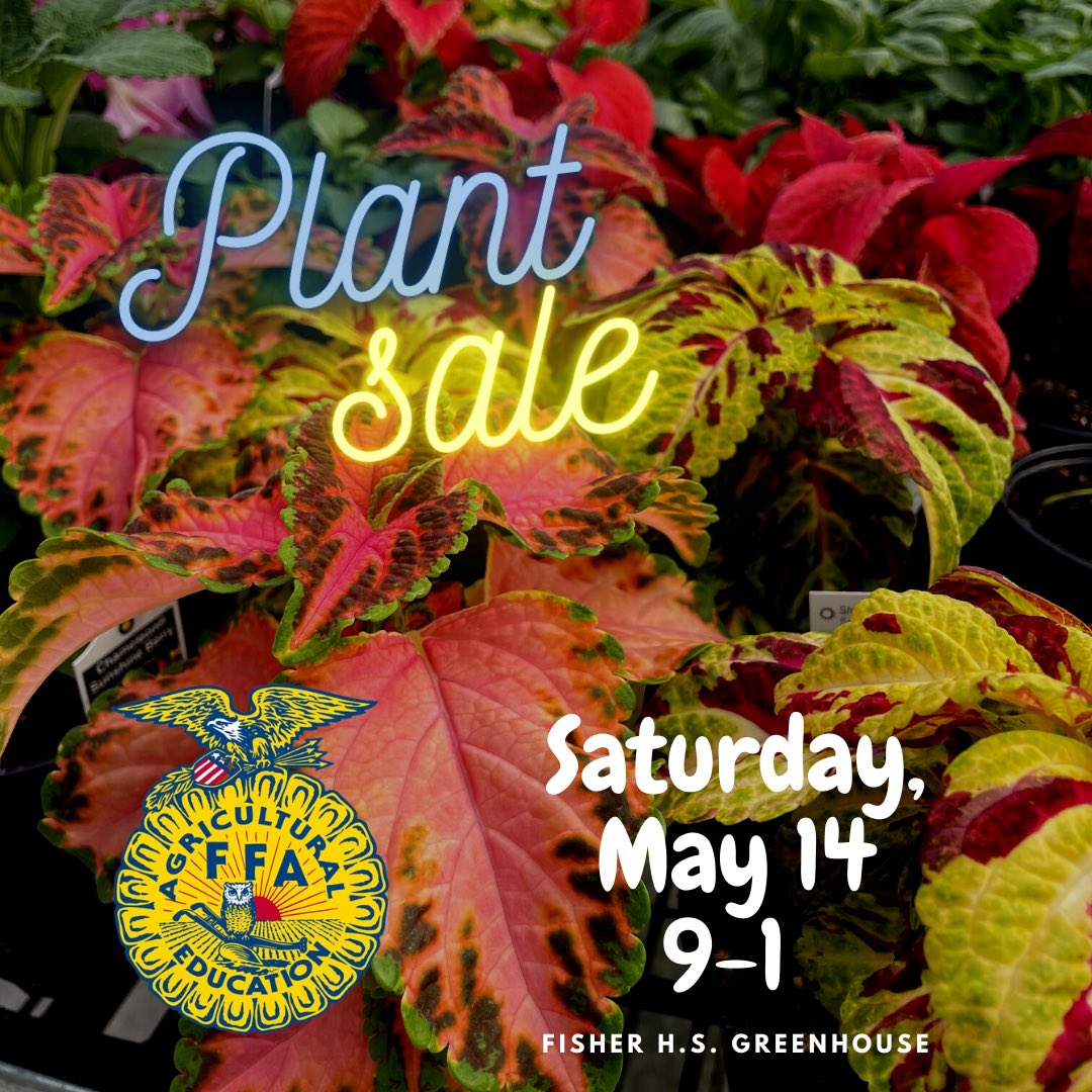 FisherFFA's tweet photo. Hi everyone we are having a plant sale!!! We have a large selection and we would love to see all of our supporters there! https://t.co/IhXhLE9XnS