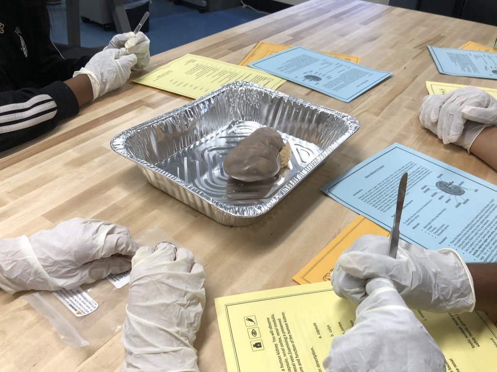 West Hempstead MS tweet media