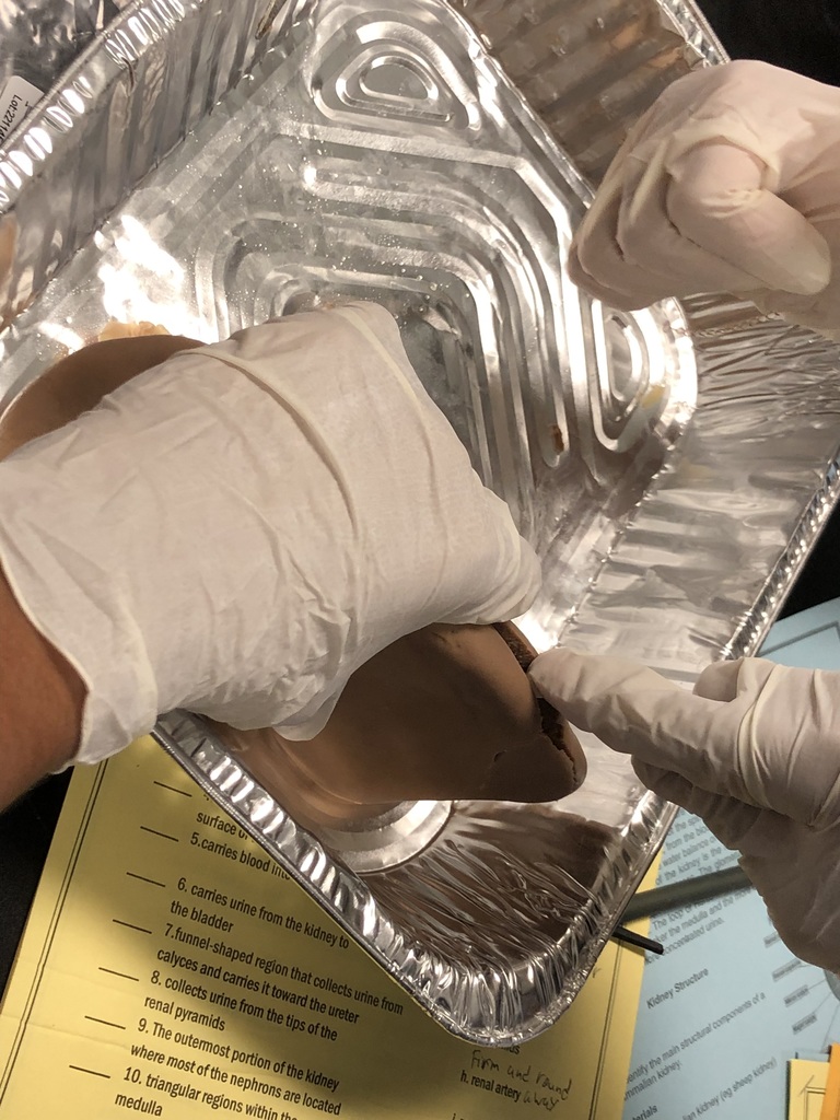 West Hempstead MS tweet media