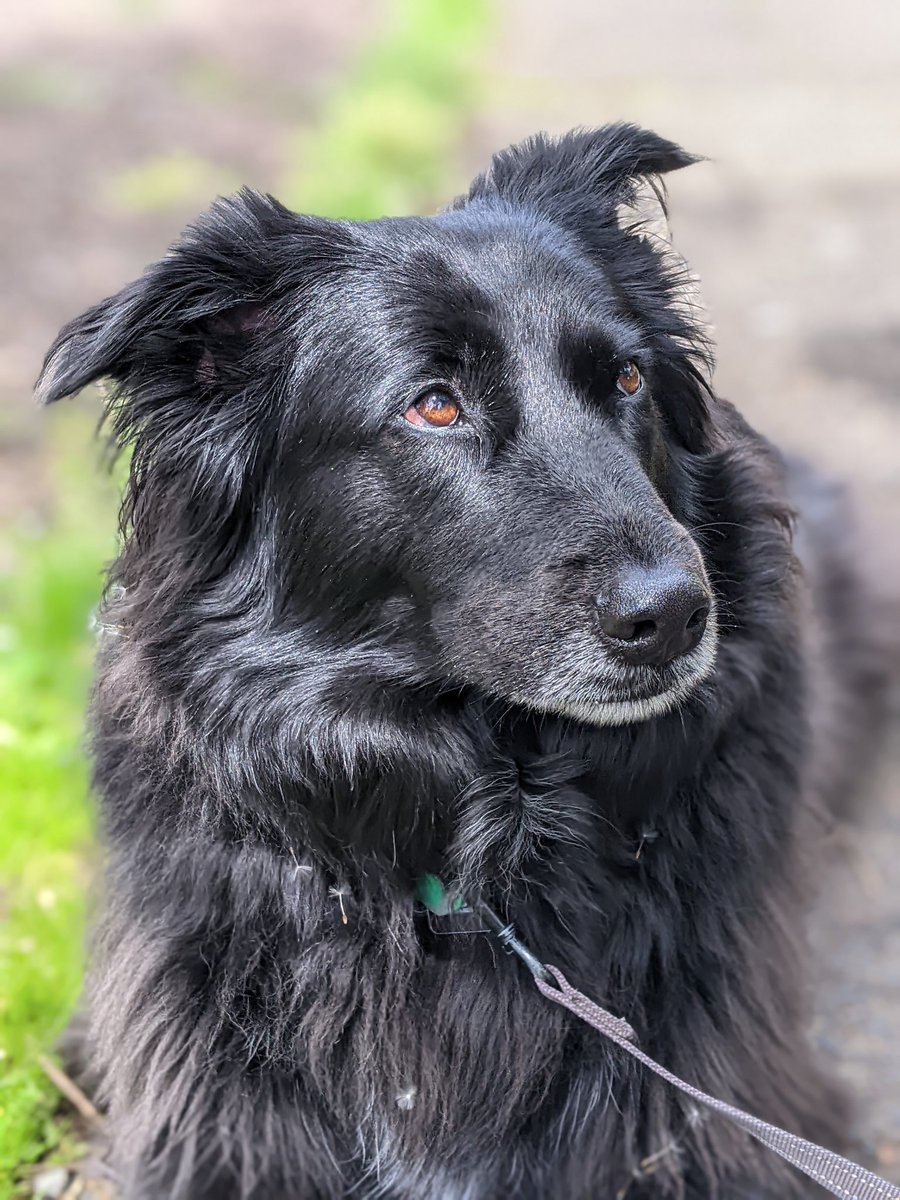 thekatertot tweet media