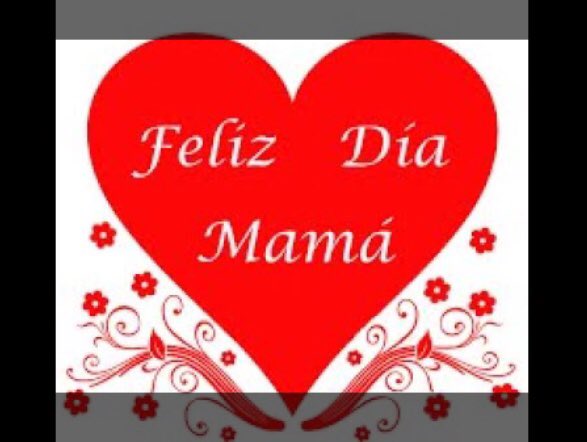 APalaciosReal's tweet photo. ¡¡Feliz día a todas las Mamás que me siguen!🌹 Principalmente a mi Mamá. Es una GRAN MUJER que quiero, valoro, admiro y respeto TODOS LOS DÍAS ¡Gracias Ma por darme la vida! 🙏 Si quieres felicitar a tu mamá Conéctate a las 7pm #FestivalMamasMultimedia7 ENVÍAME FOTO CON TU MAMÁ https://t.co/MkgUgtoqlC
