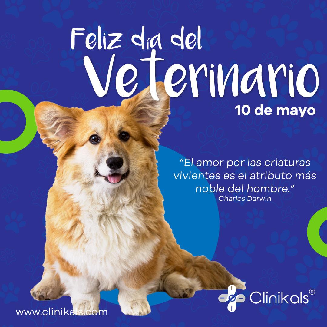 Celebramos hoy el día del Veterinario👨‍⚕️👨‍⚕️ ,
aquellas personas que por su gran dedicación y amor hacia los animales han
contribuido a la salud y bienestar de miles de
peluditos 🐶🐱.

#díadelveterinario #animales #animalesfelices #clinikals #diadelveterinario