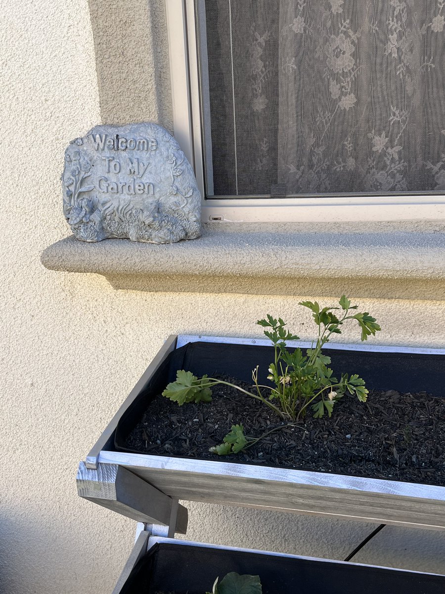 Retirement Explored tweet media