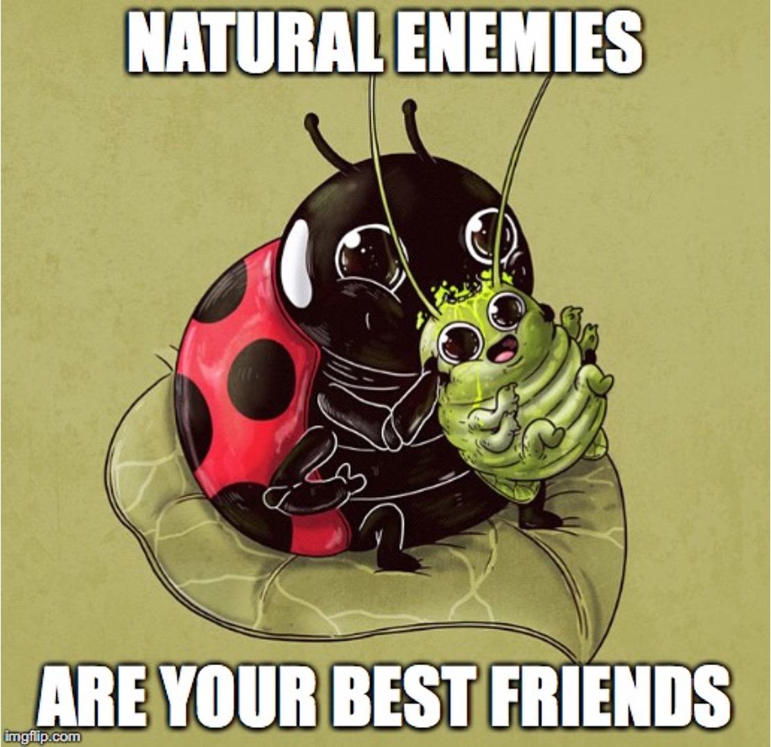 Greg Sword tweet media