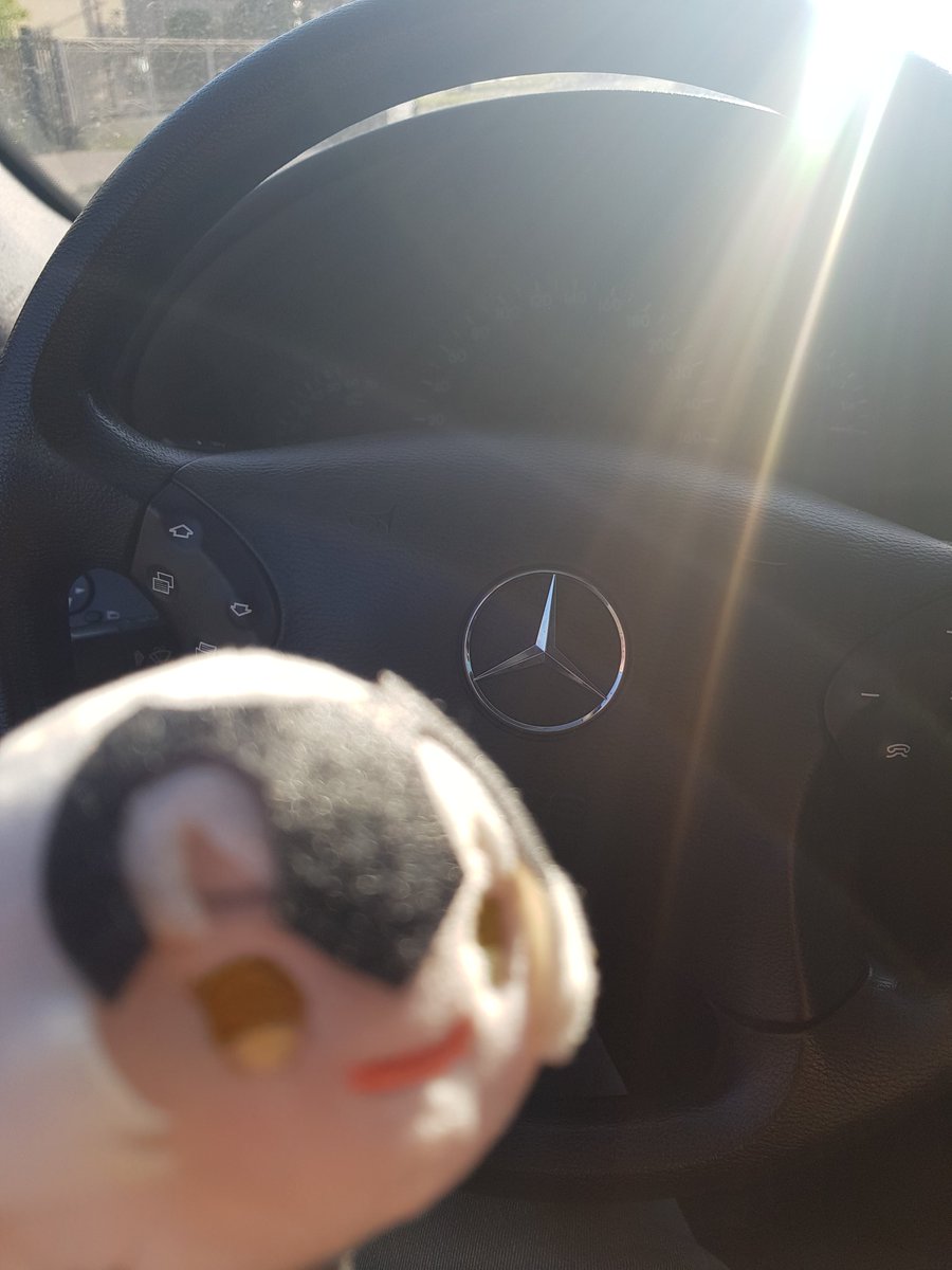 LastKiss420's tweet photo. She got new car.

Mercedes-Beanz. https://t.co/zI1Q2ekwSG