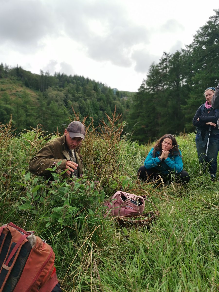 Naomi Schillinger tweet media