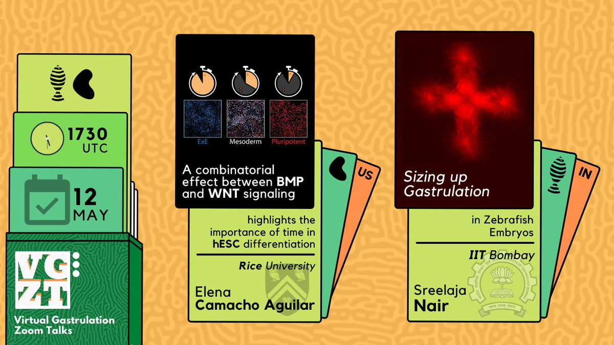 Virtual Gastrulation Zoom Talks tweet media