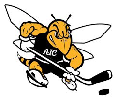 Thank you to all my friends, family, and teammates who made this past year at the U so special. With that being said, I am very excited to be joining AIC next year! Can't wait to get things started! #aicommited  🐝 <a href="/AIC_Hockey/">AIC Hockey</a>
