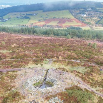 dlr Heritage tweet media