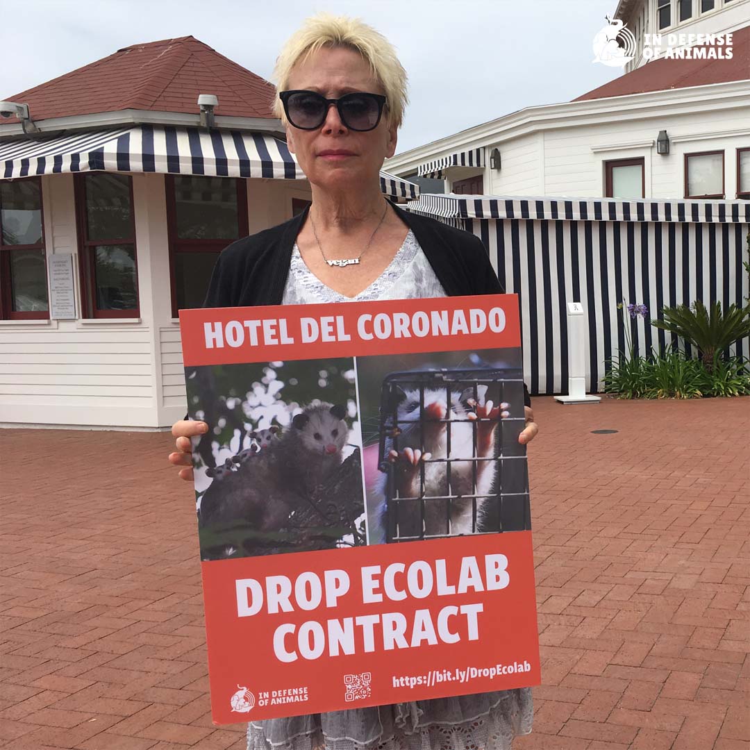 In Defense Of Animals on Twitter "In Defense of Animals and outraged