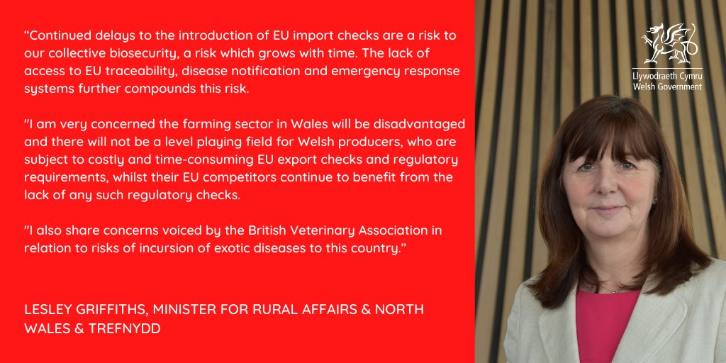 Rural Affairs and North Wales Minister, Lesley Griffiths has today written to the UK Government outlining the Welsh Government’s concerns on the impact of the further delay to import checks, which were due to begin in July.

gov.wales/concerns-raise…