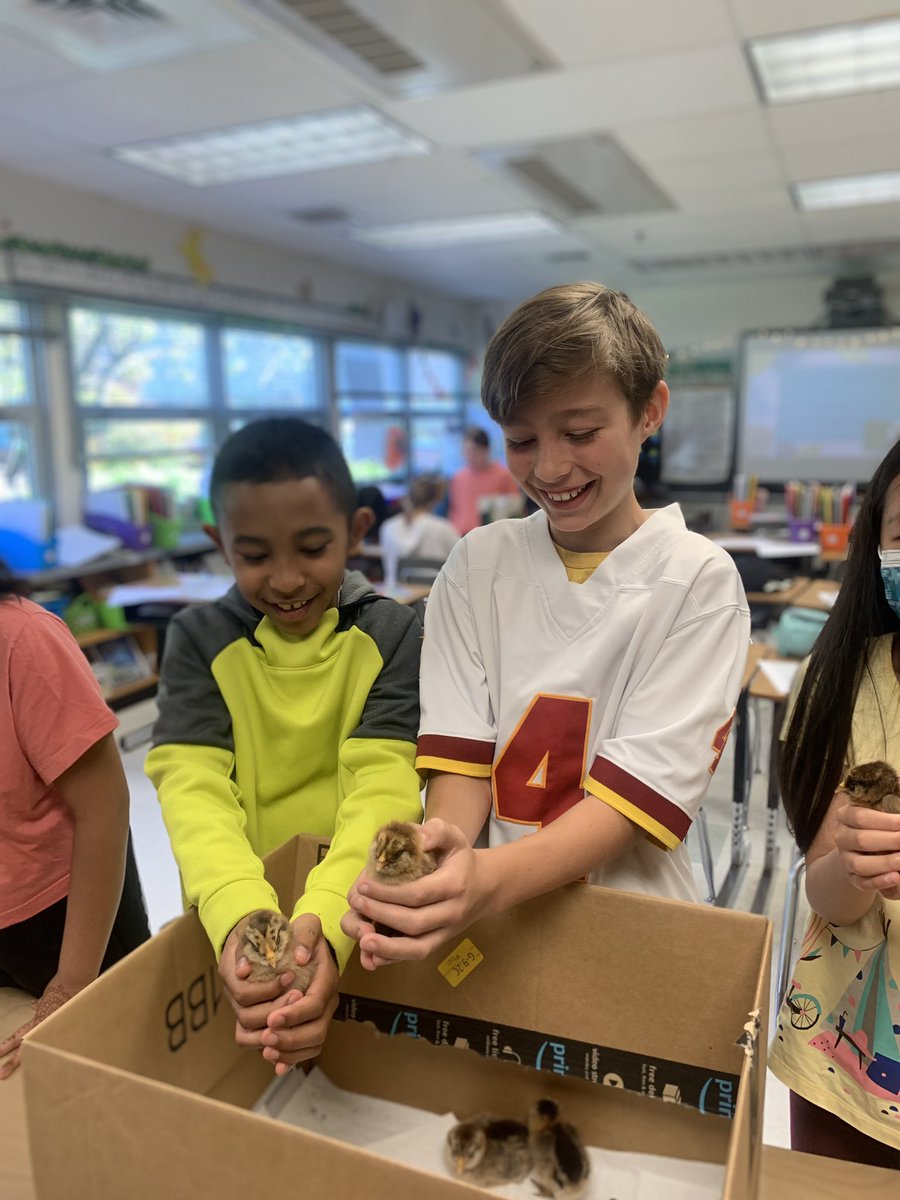 Mrs. Pirog's Class tweet media