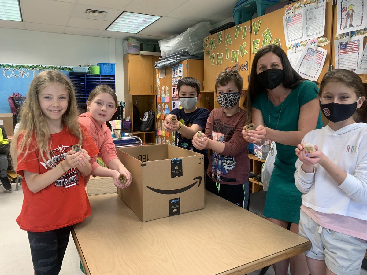 Mrs. Pirog's Class tweet media