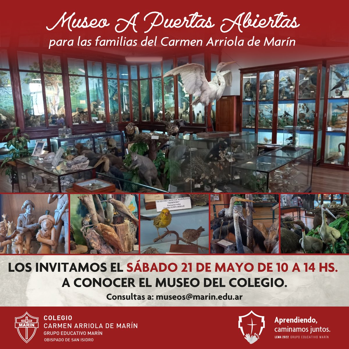 grupomarin's tweet photo. NUESTRO MUSEO Y NUESTRO COLEGIO ¡CUMPLEN 110 AÑOS! - VISITA ABIERTA A LAS FAMILIAS DEL COLEGIO CARMEN ARRIOLA DE MARÍN - 21/5 de 10 a 14hs.

Con motivo de los 110 años del colegio, los invitamos a recorrer en familia el Museo de Ciencias Naturales “Hermano Otón”. 
¡Los esperamos! https://t.co/b80WYdPOu7