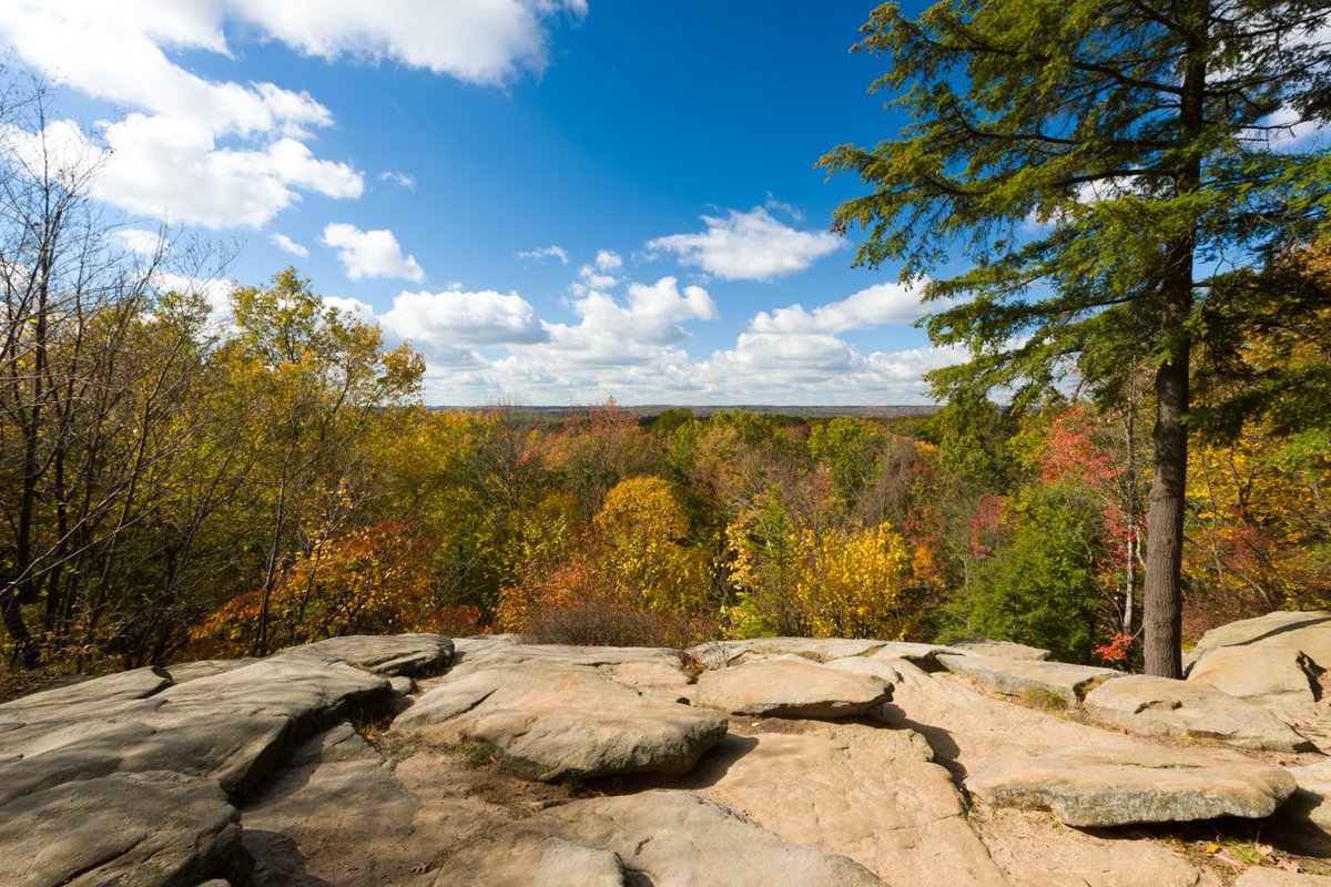 Evolution Meetings tweet media