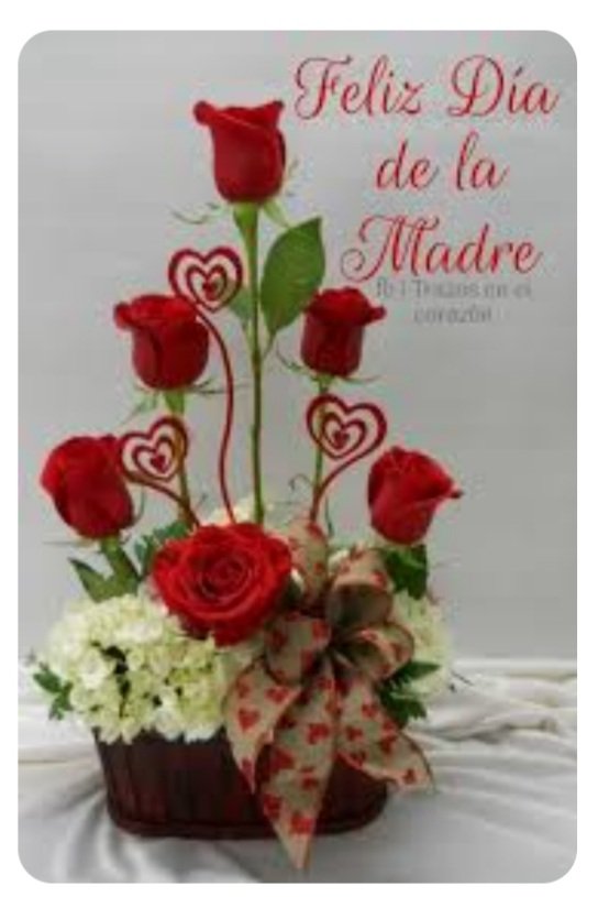 aliyarm2001's tweet photo. congratulations to all the beautiful mommies https://t.co/92bHF1nTty