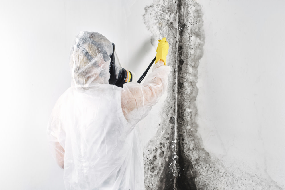 ParamountRestor's tweet photo. Why Hiring a Mold Removal Professional Is Essential For Testing and Removing Mold…
VIEW TIPS... https://t.co/XwWfntyUVE

#mold #moldremediation #moldremoval #blackmold #cincinnatimold #nkymold #northernkentuckymold #nky #northernkentucy #cincinnati #erlanger #florence https://t.co/5CCtINYTN7