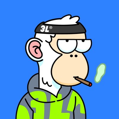 Mowzahh_'s tweet photo. #NewProfilePic finally have found my forever @3LandersNFT thank you @ethanethlol for blessing your boy and making my day ❤️ #3L4L https://t.co/oDyREG907d
