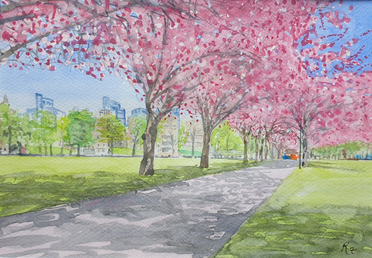 rossamacintyre's tweet photo. A new watercolour, 'Spring Blossom, Meadows', available on my Etsy page:
https://t.co/evGtxZMCRG https://t.co/S33BJ6xWuG