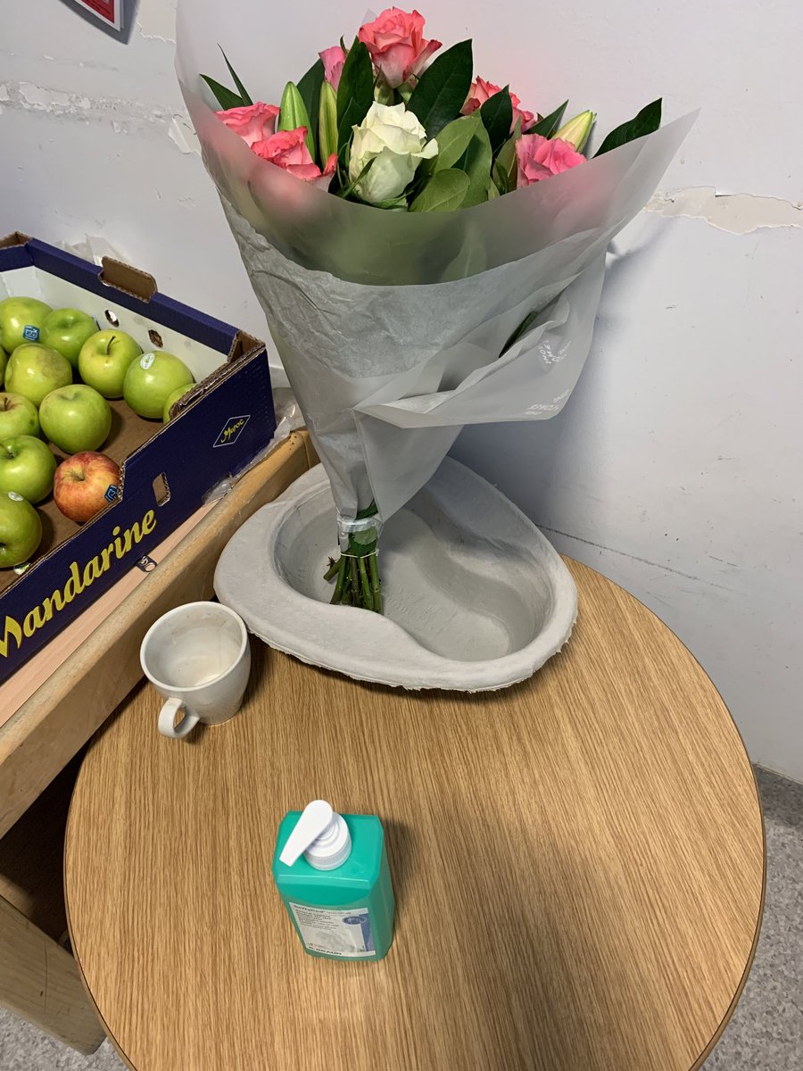 Nad2dim's tweet photo. When is perfectly normal to keep your flowers in a bed pan.......your in the emergency department. 
(Not mine) https://t.co/SLMfdvbv1S