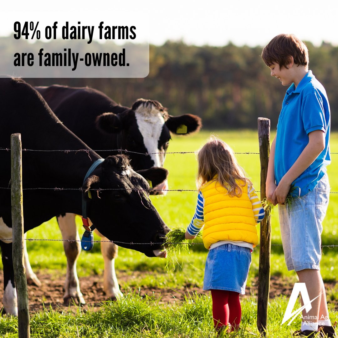 animalag's tweet photo. “Factory farming” is a term commonly thrown around when discussing animal agriculture. The truth is most farms are family farms. In the U.S. dairy community, 94% of farms are family-owned! 🐮👨‍👩‍👦 https://t.co/vgxExlTyno https://t.co/2LEUzHla92