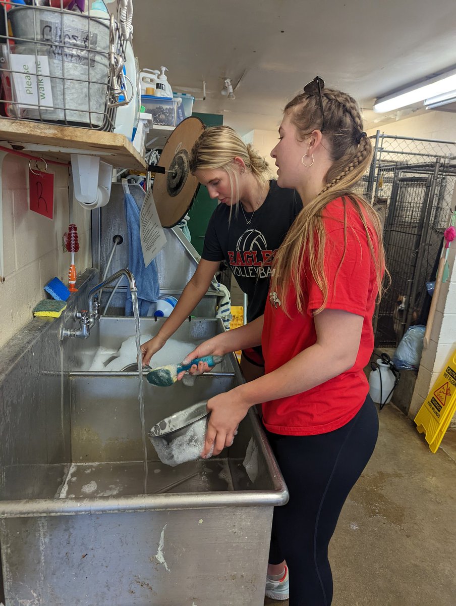 FranktonNhs's tweet photo. NHS rocking their service at APL!   #FJSHSDayofService @FranktonEagles https://t.co/6DkCPbmikV