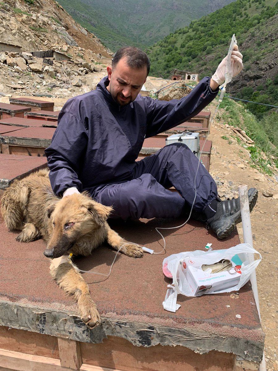 SemHayDer's tweet photo. Biraz güneş, biraz da ilaç takviyesi. #candostlarımız destekleriniz ve bizlerin çabalarıyla her geçen gün biraz daha iyi olacaklar. 
#CanDostlarımız
@HakkariValiligi
@idrisakbiyik
@GSemdinli
@SemdinliBldyesi
@HaytapOfficial https://t.co/coSkh3bais